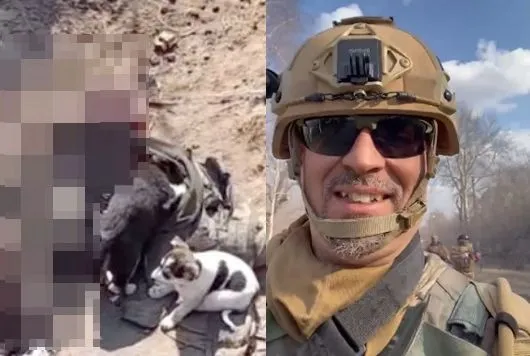 ▲▼             。（圖／翻攝自推特）