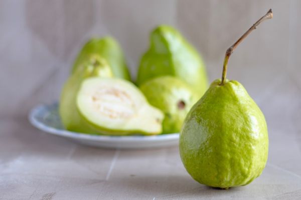 ▲▼ 營養師點名「抗衰老食物」，越吃越年輕            。（圖／Unsplash）