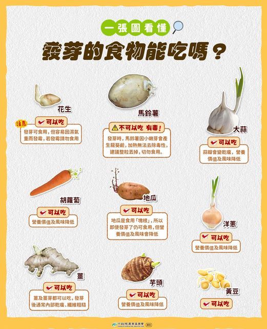 ▲▼1圖看家中常見9種食物發芽能不吃。（圖／農委會提供）