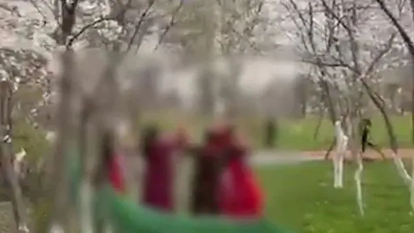 ▲▼湖北大媽為了拍照狂搖櫻花樹。（圖／翻攝微博）