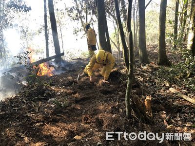 清明連假山林活動增　林管處提醒違法引火最低罰12萬