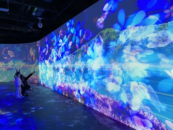 ▲▼淡水海關碼頭「古蹟沉浸式劇場」近來大受好評。（圖／淡水古蹟博物館）