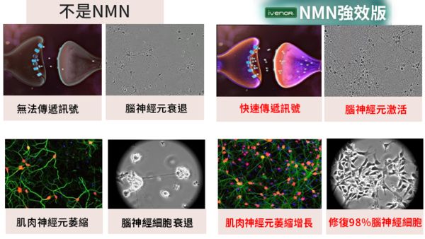 ▲《華燈》半百男神靠老妝修修臉。（圖／宏睿國際提供）