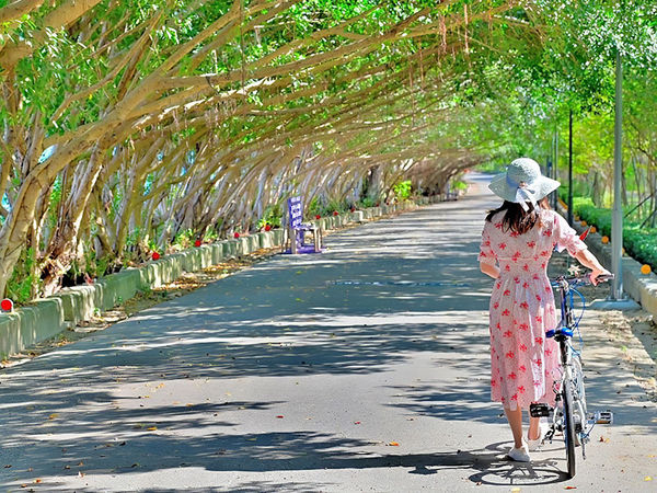 ▲（圖／台中市政府觀光旅遊局）