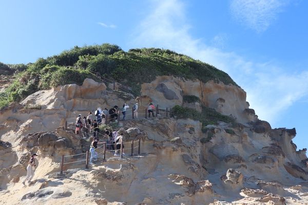 ▲野柳「女王的秘密花園」4/9開放報名,「2022野柳石光-夜訪女王」也將於4月15日登場。（圖／北觀處提供）