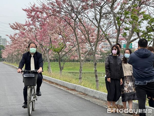 ▲台南仁德滯洪池畔的花旗木大量盛開，中華醫事科技大學校長孫逸民（右）當起賞花導覽員與民眾分享花況，並騎單車遊逛仁德滯洪池畔與賞花民眾分享花旗木花開盛景。（圖／記者林悅翻攝，下同）