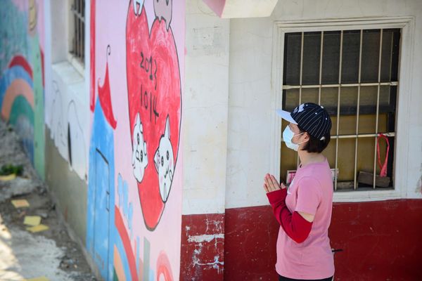 ▲▼大甲鎮瀾宮明天起開放民眾兌換3劑疫苗證別證。（圖／大甲鎮瀾宮提供）