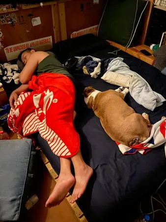 ▲▼雙人床被胖狗睡走一大半。（圖／有點毛毛的／粉專「英國鬥牛犬。多多 - DuoDuo」提供）