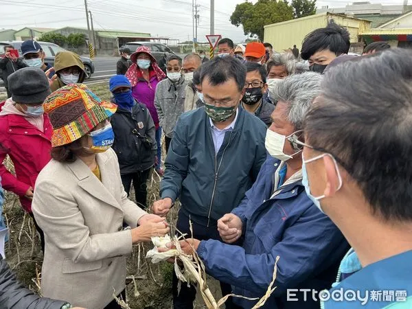 ▲今日上午立法委員蘇治芬邀集農委會主委陳吉仲等人，至東勢鄉受災嚴重田間會勘了解災損情況。（圖／記者蔡佩旻翻攝）