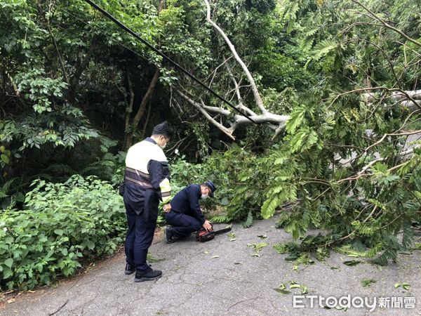 ▲土石鬆動巨樹倒塌，警民合作迅速排除。（圖／記者楊漢聲翻攝）