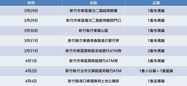 ▲新竹5天內「14隻品種貓遭棄養」　染貓瘟裝籠扔路邊...累計5死亡。（圖／記者呂欣潞攝）