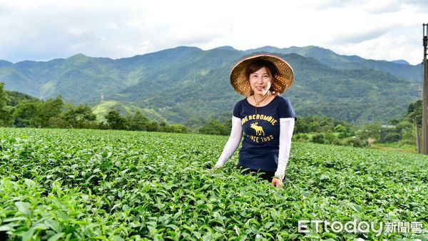 ▲新北農村女力林奕慧發威 東成茶葉轉型幕後推手。（圖／新北市農業局提供）