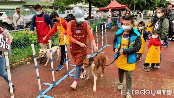 ▲母犬絕育大幅下降87% 新北遊蕩犬源頭減量公私協力成功。（圖／新北市動保處提供）