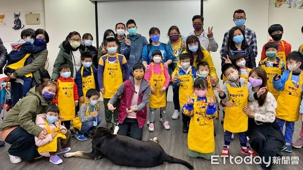 ▲母犬絕育大幅下降87% 新北遊蕩犬源頭減量公私協力成功。（圖／新北市動保處提供）