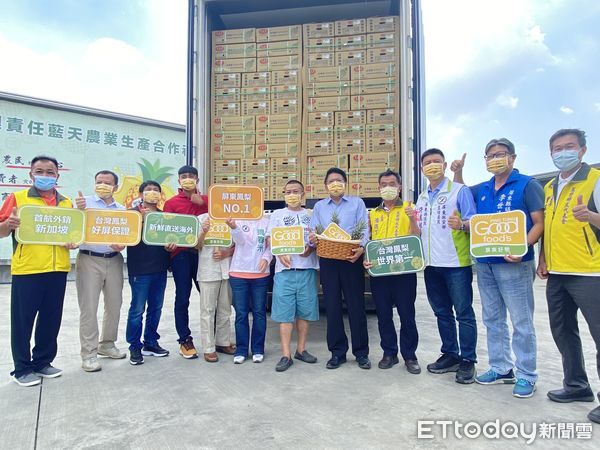 ▲屏東鳳梨2022年首櫃海運外銷新加坡            。（圖／記者陳崑福翻攝，下同）