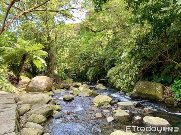 ▲「福田園教育休閒農場」緊鄰陽明山國家公園，此際正值紅楓季。（圖／記者彭懷玉攝）