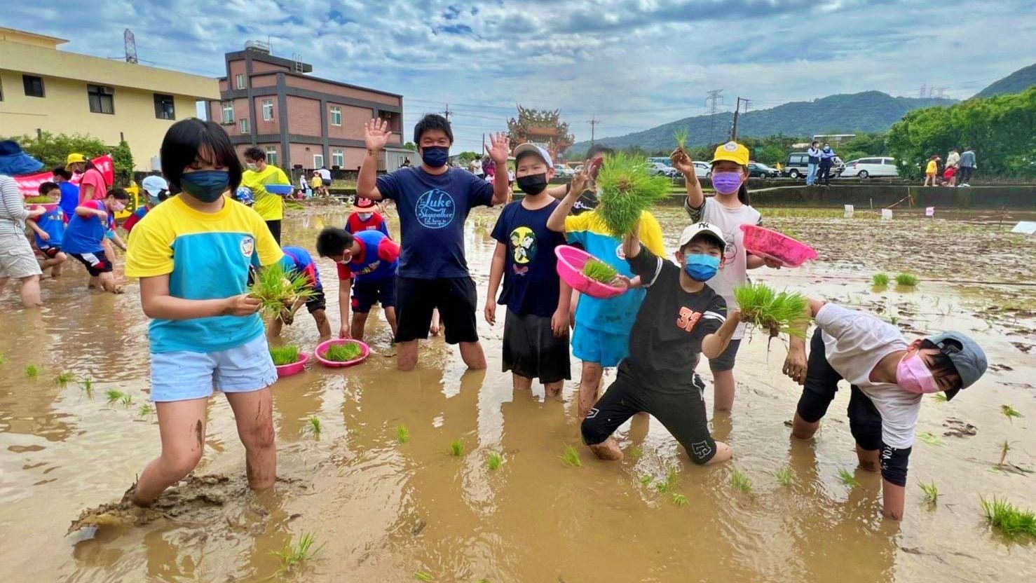 ▲金山三和國小春分插秧趣 攜手實踐新北SDGs核心目標。（圖／新北市三和國小提供）