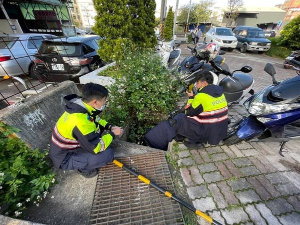 ▲員警見「怪男半身躲水溝」詢問發現貓貓躲裡面　帥氣包抄圍捕救出。（圖／蘆竹分局提供）