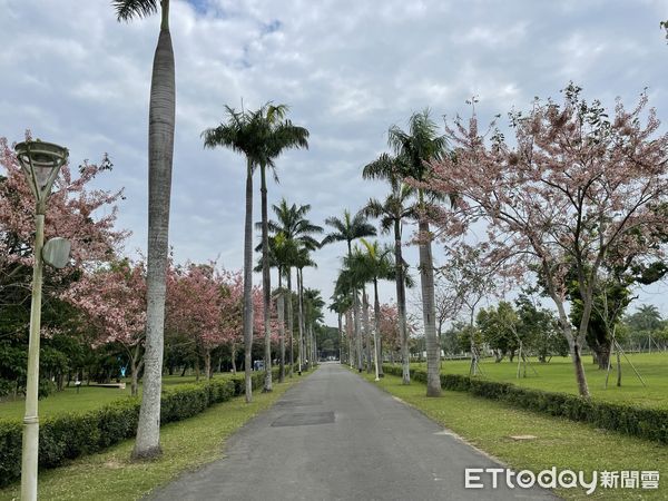 ▲台灣國際覽展遍地開花，台南山上水道博物館，布置「遇水則花，心滿意竹」藝術裝置，8日起展出。（圖／記者林悅翻攝，下同）