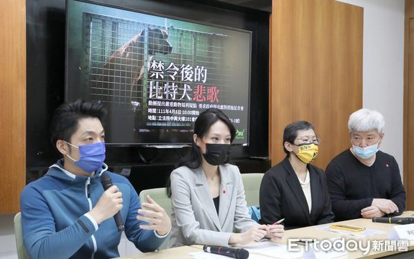 全台逾4千比特犬爆棄養潮？　蔣萬安：禁養無法防止動物攻擊事件 | ETt