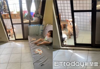 早餐遭偷吃!2歲孫女氣到踢腳崩潰大哭 陽台躲「2隻壯碩嫌疑犯」