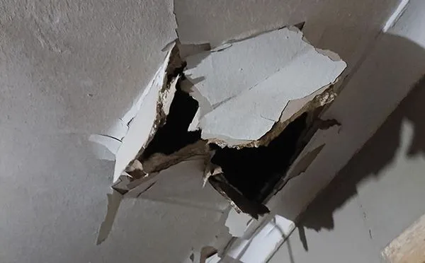 ▲▼             。（圖／boredpanda）