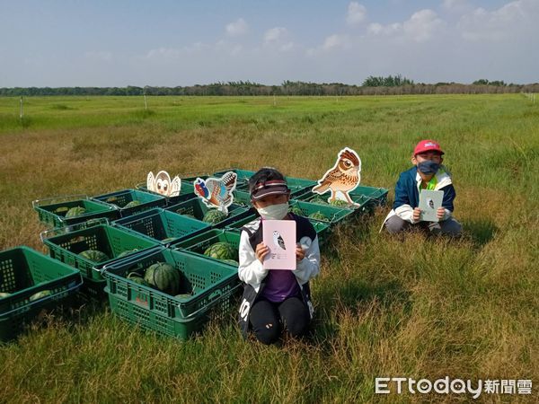 ▲台南市野鳥學會上午在台南歸仁區台糖沙崙農場，舉辦「環頸雉西瓜節」活動，獲民眾以實際行動支持友善耕作，100顆西瓜全數售罄。（圖／記者林悅翻攝，下同）