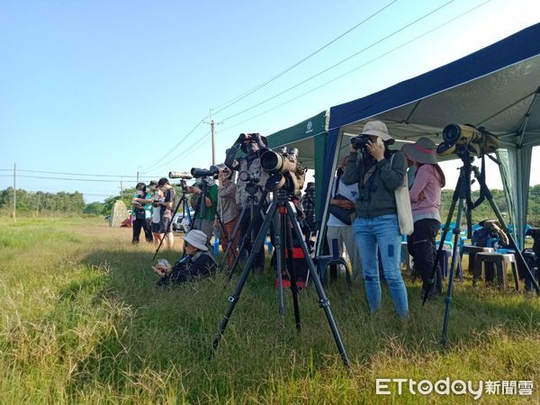 ▲台南市野鳥學會上午在台南歸仁區台糖沙崙農場，舉辦「環頸雉西瓜節」活動，獲民眾以實際行動支持友善耕作，100顆西瓜全數售罄。（圖／記者林悅翻攝，下同）