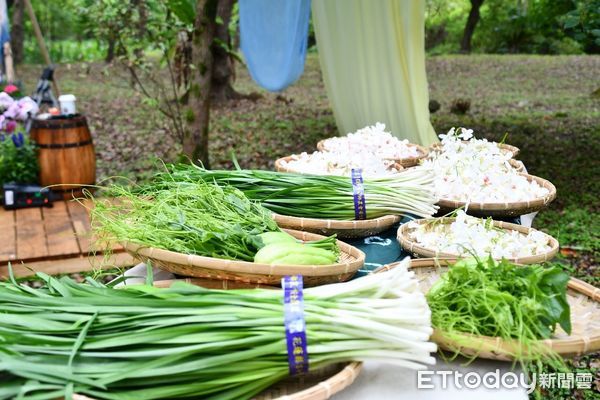 ▲桐花雪紛飛，花蓮吉安鄉桐花祭系列活動已正式開跑。（圖／吉安鄉公所提供，下同）