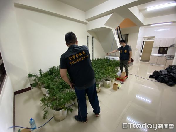 ▲警方於四嫌租屋處查扣大麻植株467株、大麻成品1批及相關栽培、乾燥設備。（圖／記者蔡佩旻翻攝）