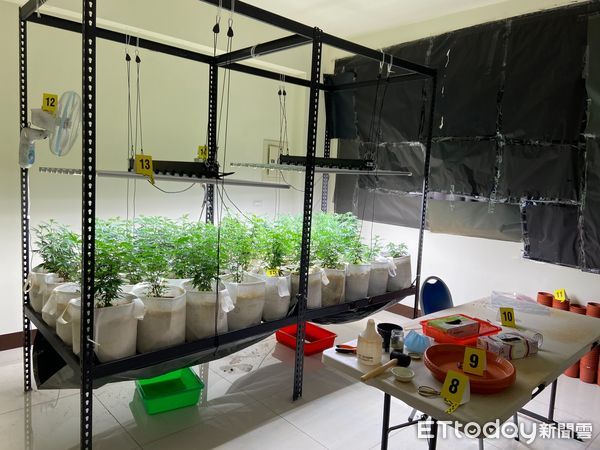 ▲警方於四嫌租屋處查扣大麻植株467株、大麻成品1批及相關栽培、乾燥設備。（圖／記者蔡佩旻翻攝）