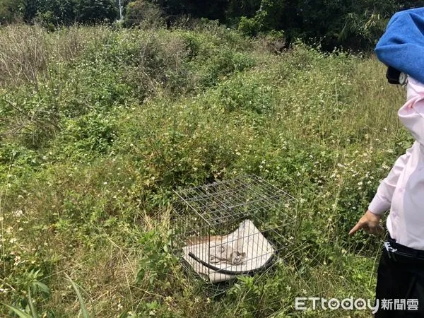 ▲▼ 婦人偷鄰居雞籠要變賣。（圖／中埔分局提供）。
