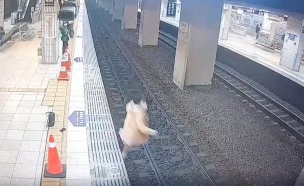 ▲▼台北車站傳出1名女子從月台跳落鐵軌，所幸救回一命無大礙。（圖／翻攝記者爆料網2.0）