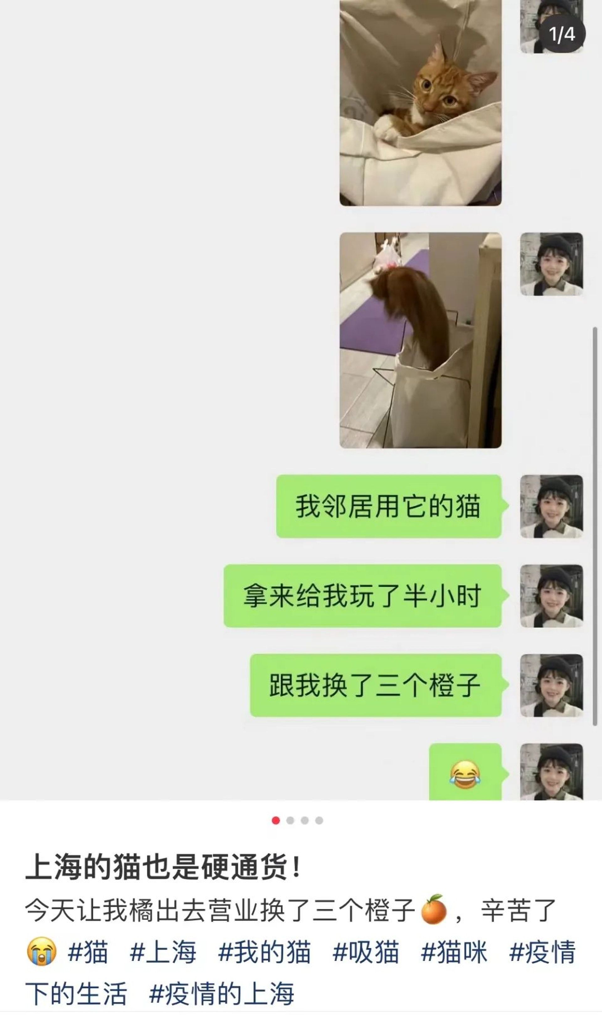 圖／翻攝自微博