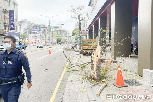 ▲桃園市張姓園藝工人15日清晨失控撞斷路樹，警消到場處理，現場一片狼藉。（圖／記者沈繼昌翻攝）