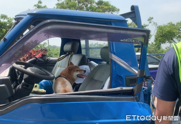 ▲今日近午台78縣土庫交流道附近發生追撞車禍，造成5人輕傷，小貨車上留有一隻柴犬狂發抖。（圖／記者蔡佩旻攝）