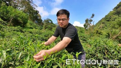 三峽返鄉青農陳宣和、顏伯宗　新北在地創生發揚台灣好茶