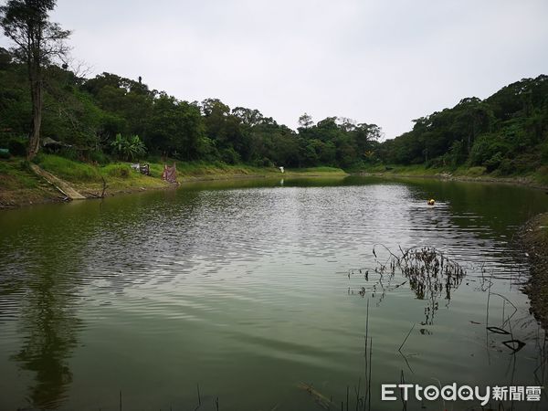 ▲▼台中太平台灣潭落水。（圖／記者白珈陽翻攝）