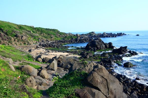 ▲北海岸百合花目前已開4成，北觀處整理出賞花地圖。（圖／北觀處提供）