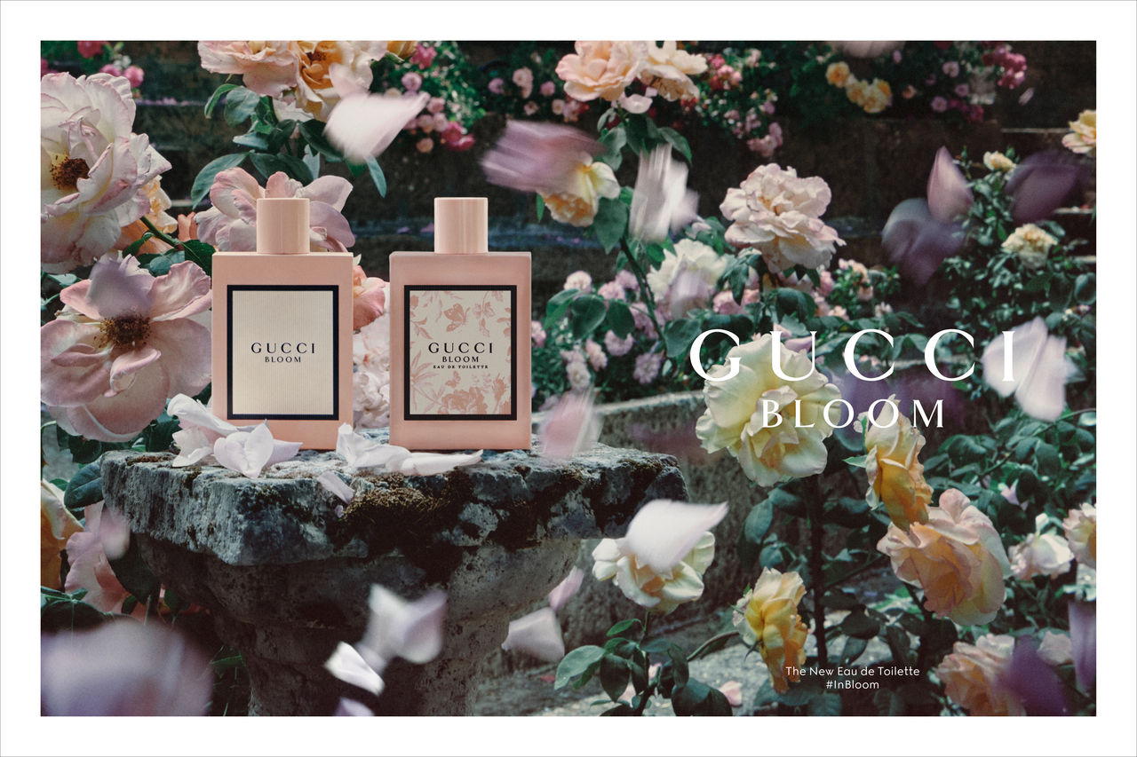 ▲嬌蘭,浪凡,GUCCI,SABON,寶格麗,香水,香氛,淡香水。（圖／品牌提供）