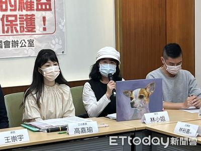 吉娃娃被撞死只賠2.5萬　高嘉瑜：該修法增「精神慰撫金」