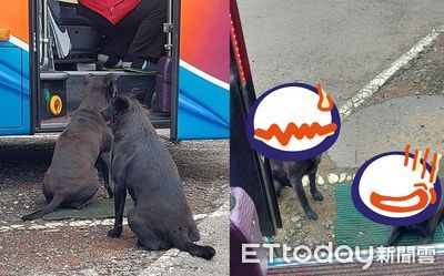 遊覽車司機吃便當　2黑道汪「堵門等降肉」嚇傻他：索保護費的？