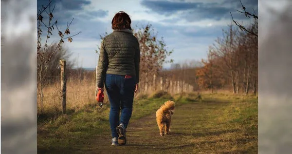 一名網友不滿媽媽的「佛系養狗法」害得愛犬常常鬧失蹤。（示意圖／翻攝自Pixabay）
