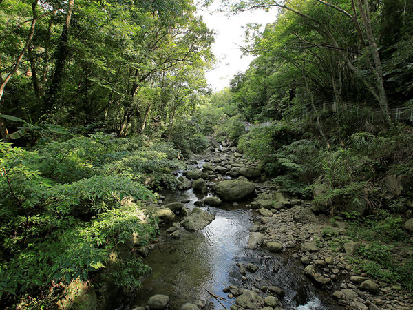 ▲（圖／參山國家風景區）