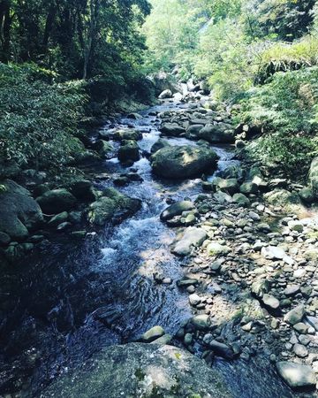 ▲（圖／參山國家風景區）