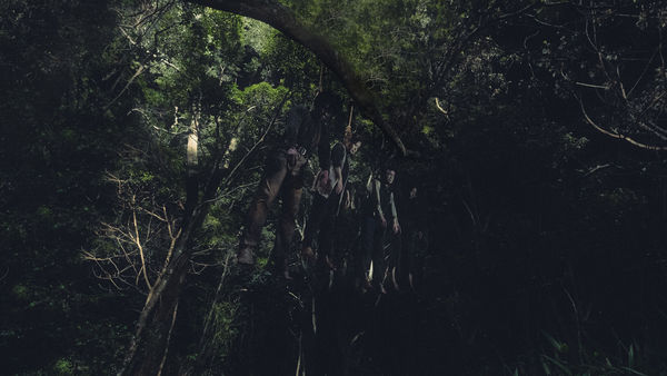 ▲▼《頭七》一家四口吊死樹上畫面令人震驚。（圖／皮諾丘電影提供）