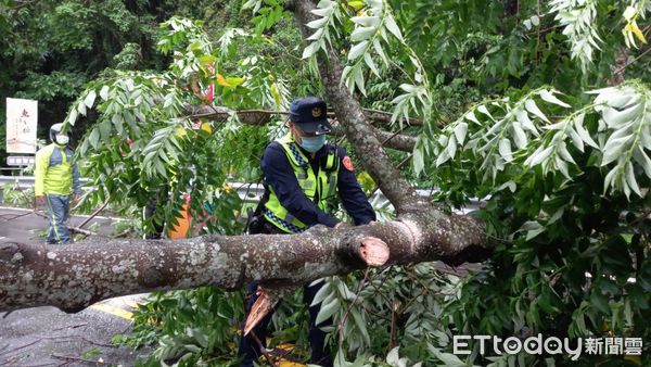 ▲▼             。（圖／記者李陳信得攝）