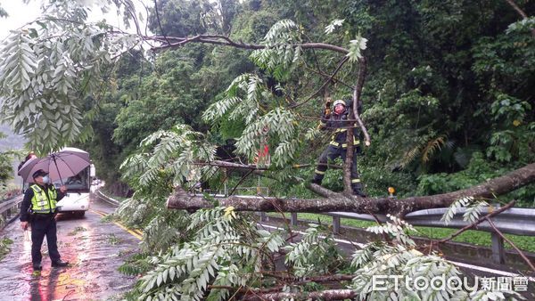 ▲▼             。（圖／記者李陳信得攝）