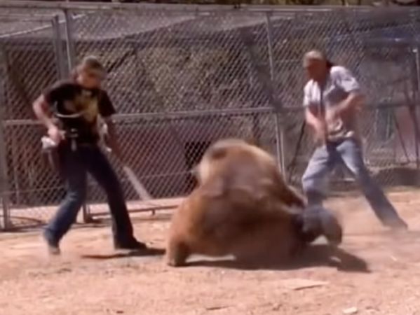 ▲▼美國西維吉尼亞州一隻灰熊失控咬死馴獸師。（圖／翻攝自YouTube／RamiRoid）