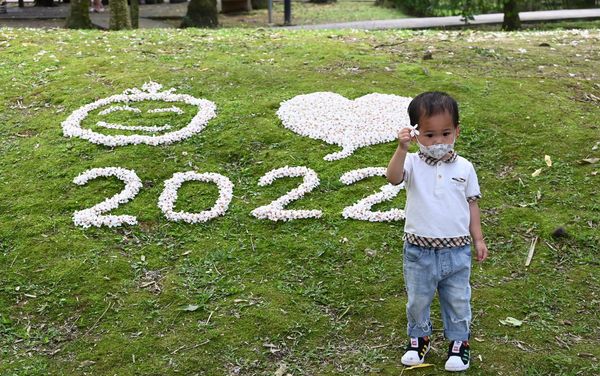 ▲「2022桃園桐花祭」即日起至5月15日展開。（圖／桃園市客委會提供）